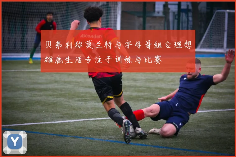 贝弗利称莫兰特与字母哥组合理想雄鹿生活专注于训练与比赛