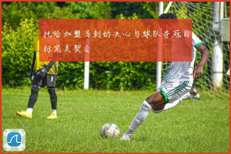 托哈加盟马刺的决心与球队夺冠目标完美契合