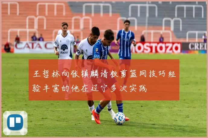 王哲林向张镇麟请教剪篮网技巧经验丰富的他在辽宁多次实践