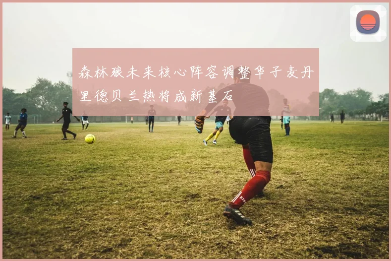 森林狼未来核心阵容调整华子麦丹里德贝兰热将成新基石
